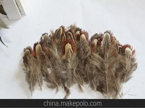 舞臺服裝輔料供應商與批發市場全攻略 采購策略與價格解析